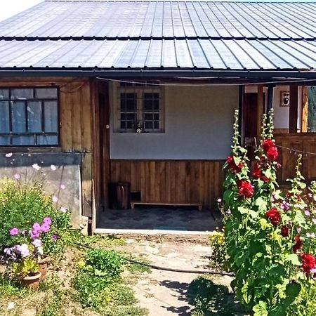 Guesthouse Sagrila Omalo ภายนอก รูปภาพ