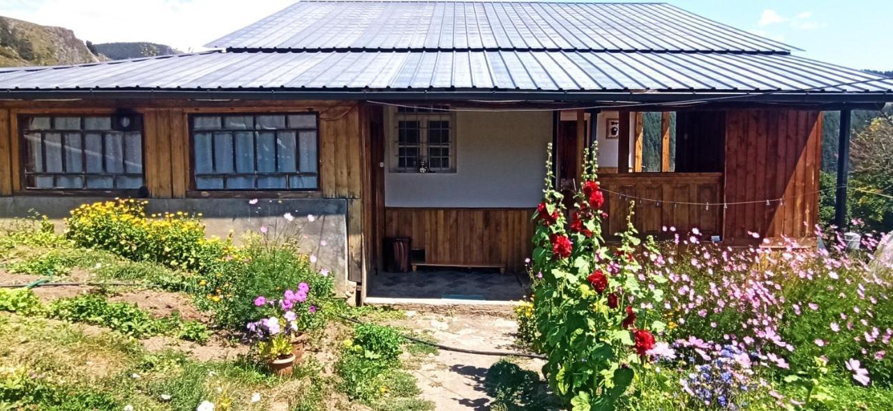 Guesthouse Sagrila Omalo ภายนอก รูปภาพ