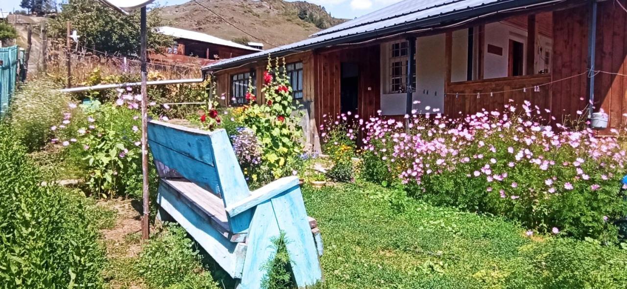 Guesthouse Sagrila Omalo ภายนอก รูปภาพ