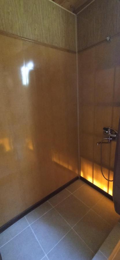 Guesthouse Sagrila Omalo ภายนอก รูปภาพ
